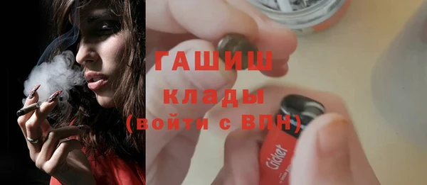 прущие грибы Белокуриха