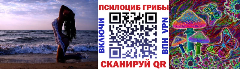 кракен зеркало  Вельск  Галлюциногенные грибы прущие грибы 